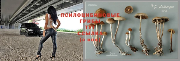 марки lsd Алзамай