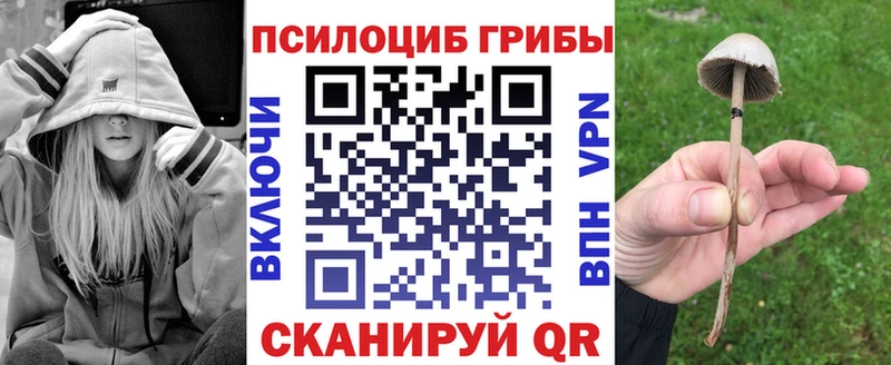 гидра маркетплейс  Жуков  Галлюциногенные грибы Magic Shrooms 