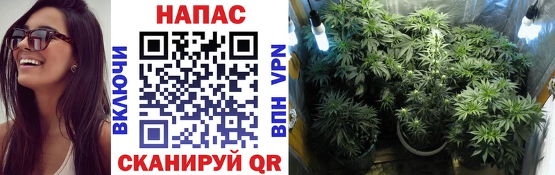 Конопля VHQ  Жуков 